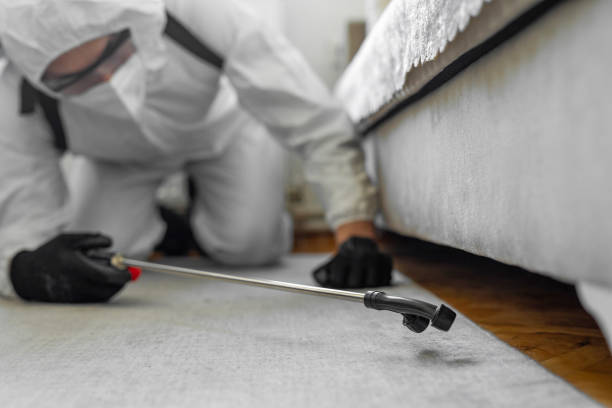 Professional Cockroach Control technician working in Lehigh Acres, FL