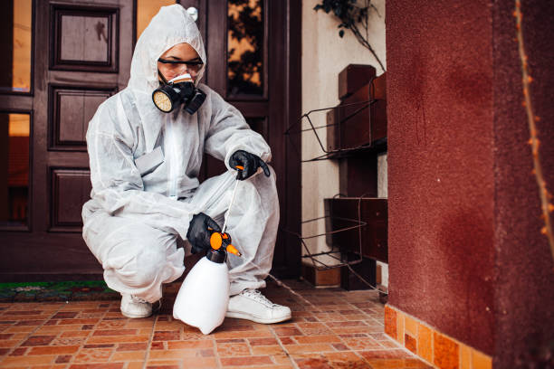 Reliable Cockroach Control contractor in Lehigh Acres, FL by Nex Pest Control